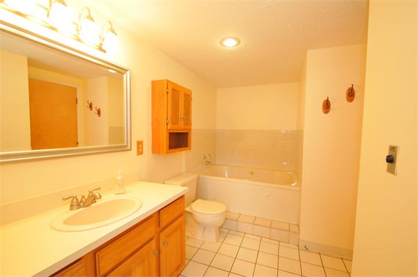 17 Treasure Way, Unit 17 Ashland, MA 01721 - Photo 17 of 27 a bathroom with a sink a toilet and shower