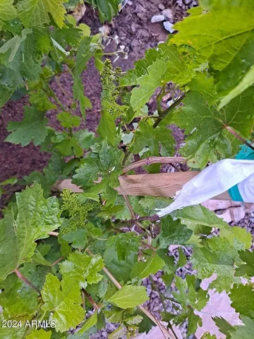 $695,000 | 44973 West Sandhill Road, Maricopa, AZ 85139