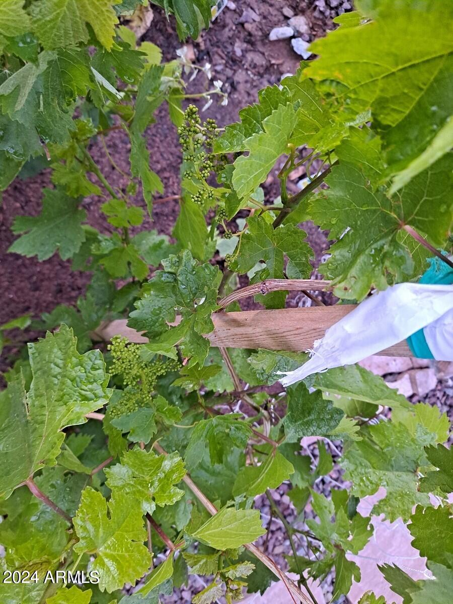 44973 West Sandhill Road Maricopa, AZ 85139 - Photo 33 of 38 38