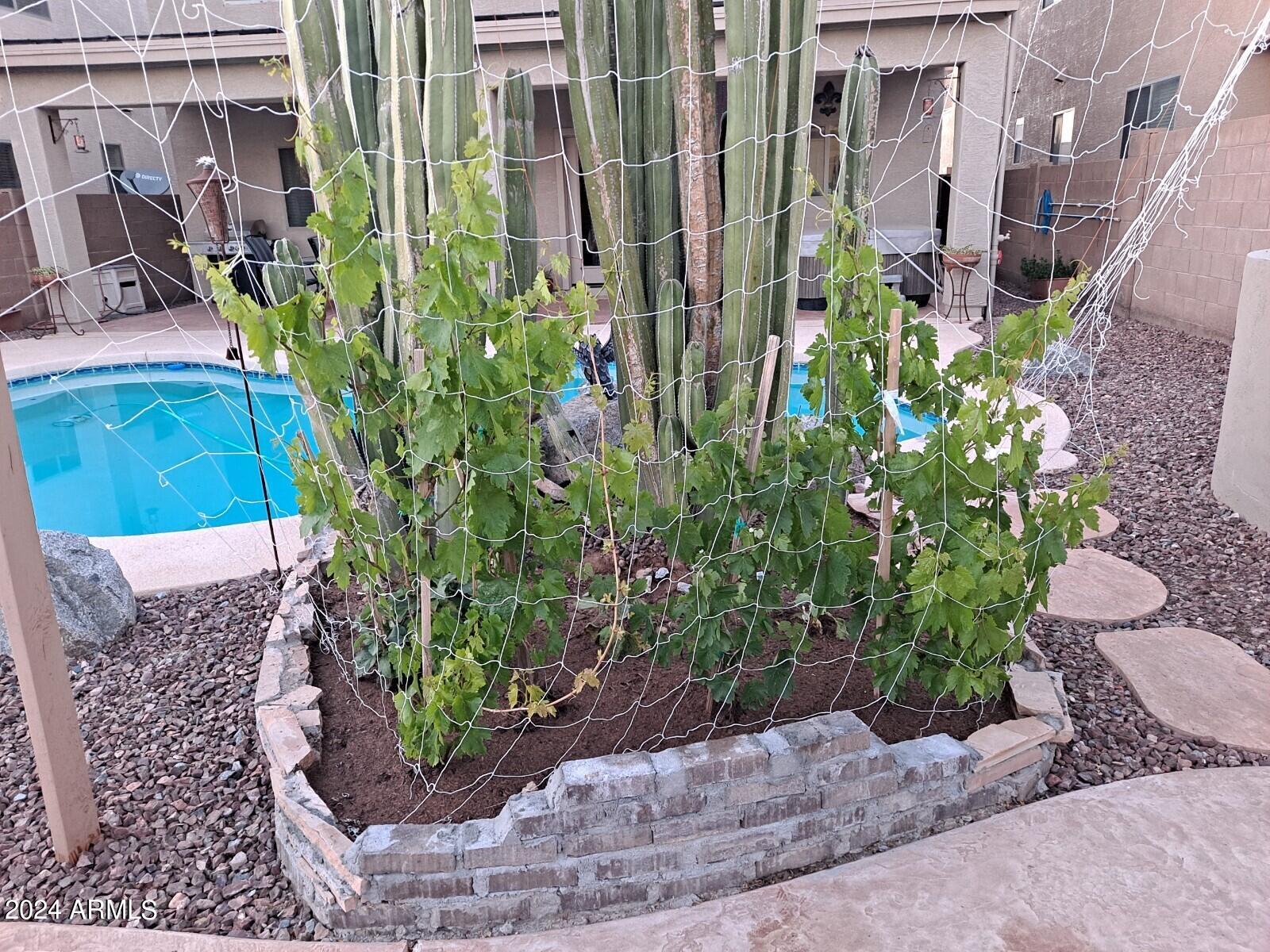 44973 West Sandhill Road Maricopa, AZ 85139 - Photo 36 of 38 41