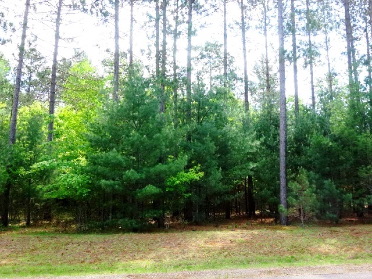 Lot 42 Bosshard Cir Road Woodruff, WI 54568 - Photo 2 of 5 Gallery Image 2