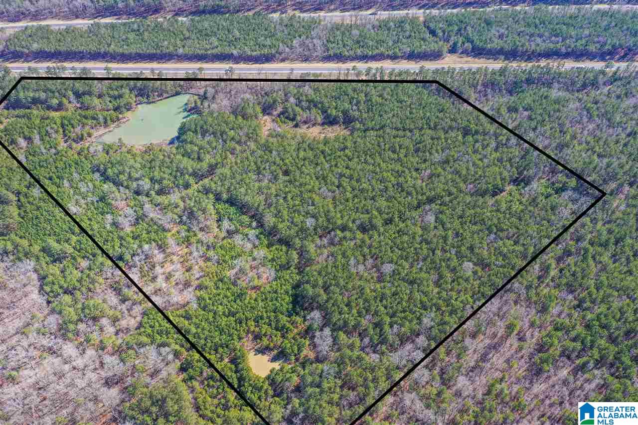 0 Barron Street Steele, AL 35987 - Photo 6 of 14
