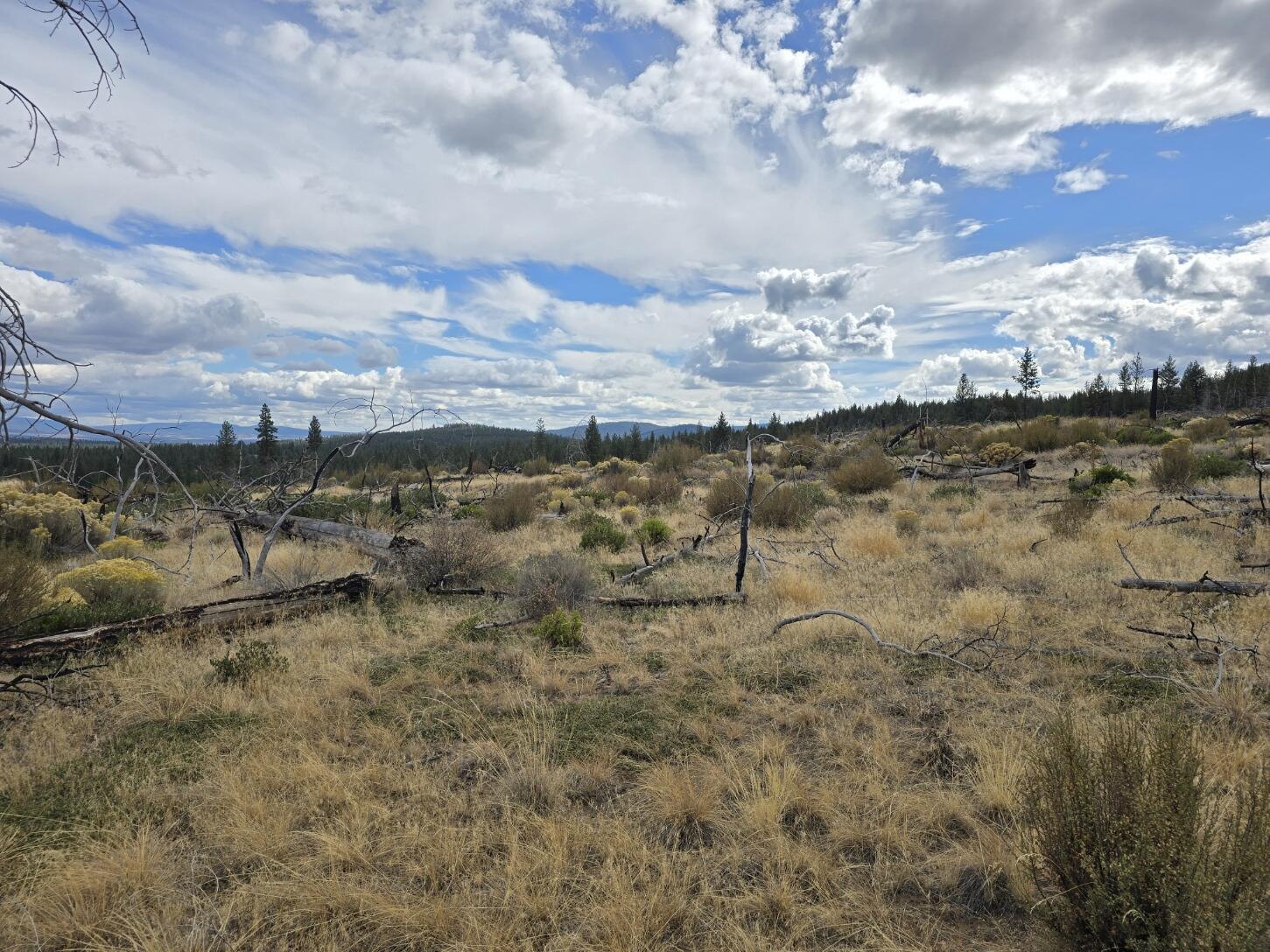 0 Partin Drive, Unit 19 Beatty, OR 97621 - Photo 7 of 15 20241012_141015