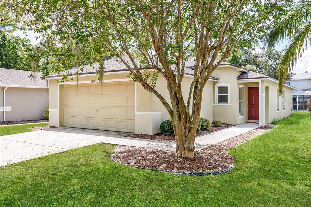 11813 Prickly Pear Way Seffner, FL 33584 - Photo 1 of 24 a front view of a house with a yard and tree