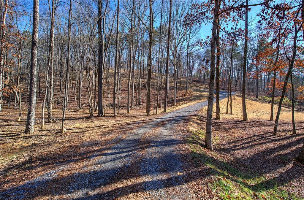 676 Flowery Branch Road Kingston, GA 30145 - Photo 46 of 96 a view of a backyard with large trees