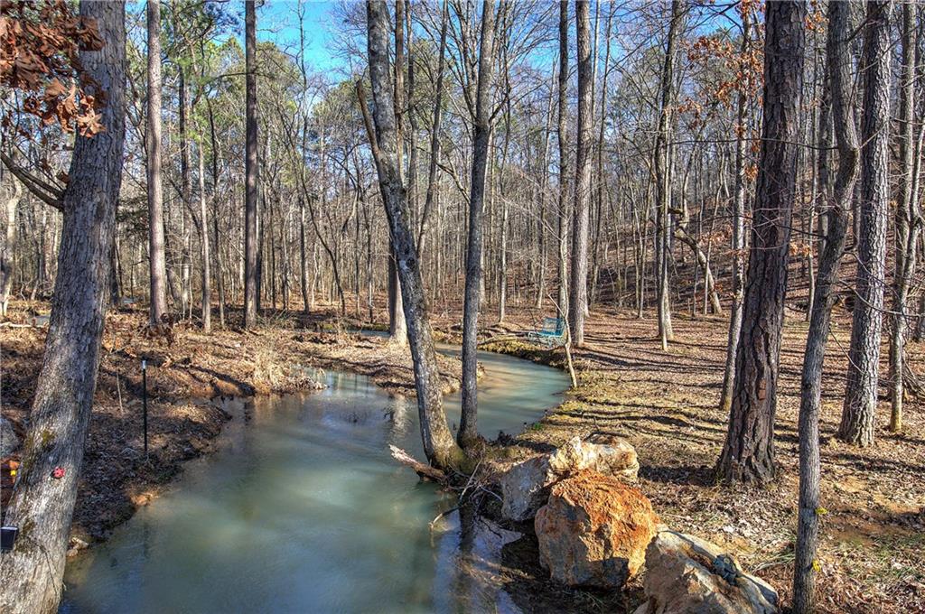 676 Flowery Branch Road Kingston, GA 30145 - Photo 48 of 96