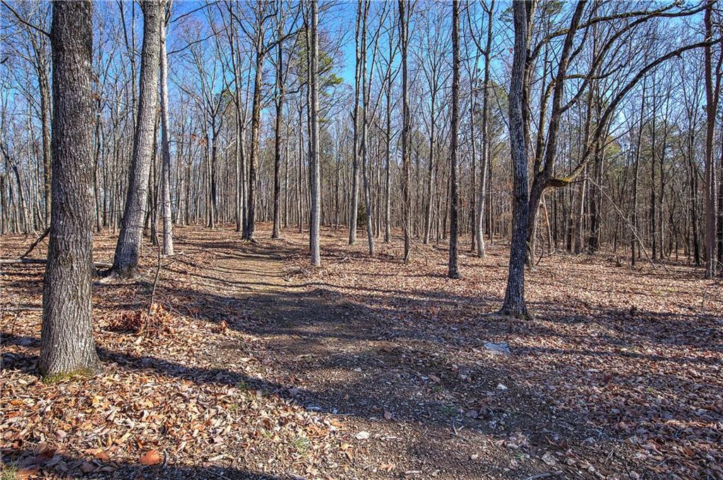 676 Flowery Branch Road Kingston, GA 30145 - Photo 49 of 96 a view of outdoor space with trees