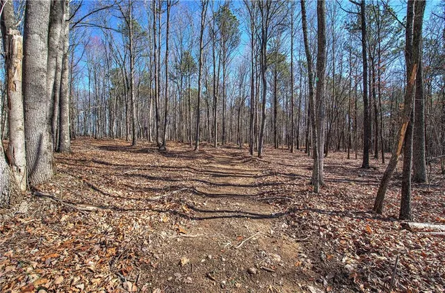 $350,000 | 676 Flowery Branch Road, Kingston, GA 30145