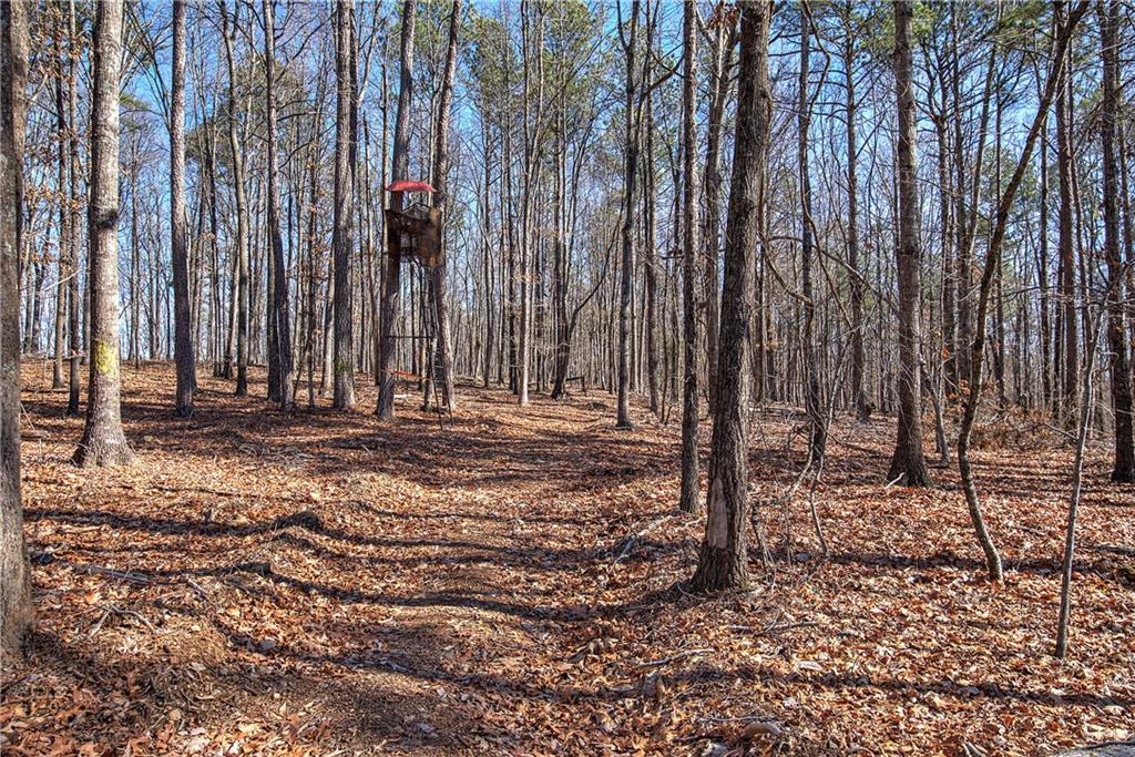 676 Flowery Branch Road Kingston, GA 30145 - Photo 51 of 96 a view of a backyard with large trees
