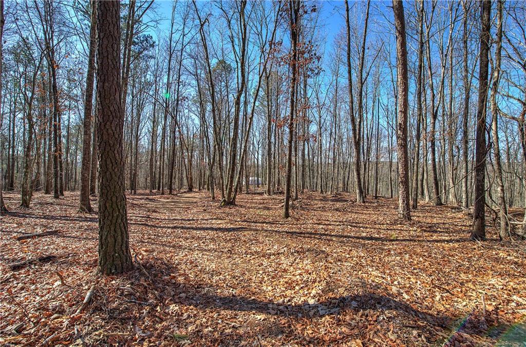 676 Flowery Branch Road Kingston, GA 30145 - Photo 53 of 96 a view of a backyard with trees