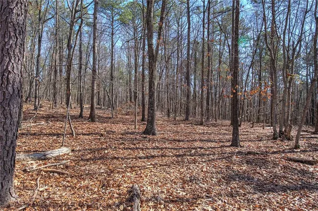 $350,000 | 676 Flowery Branch Road, Kingston, GA 30145