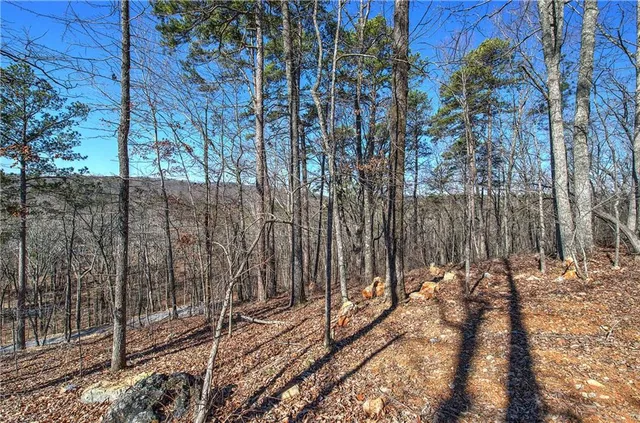 $350,000 | 676 Flowery Branch Road, Kingston, GA 30145