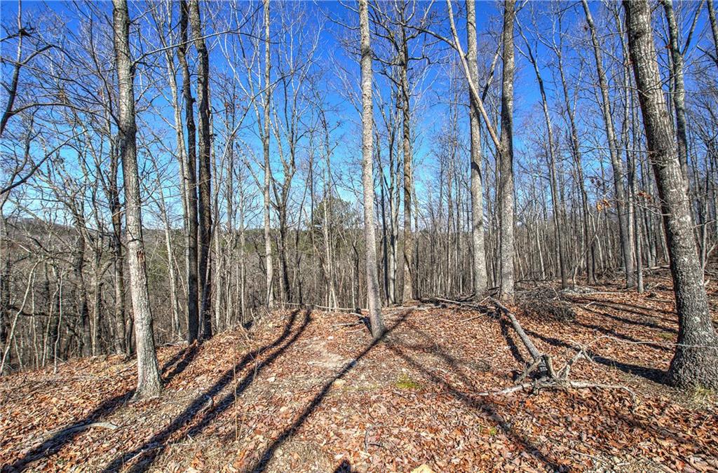 676 Flowery Branch Road Kingston, GA 30145 - Photo 61 of 96