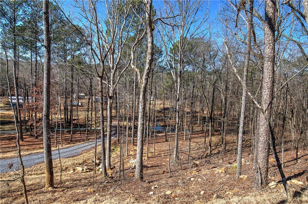 676 Flowery Branch Road Kingston, GA 30145 - Photo 64 of 96