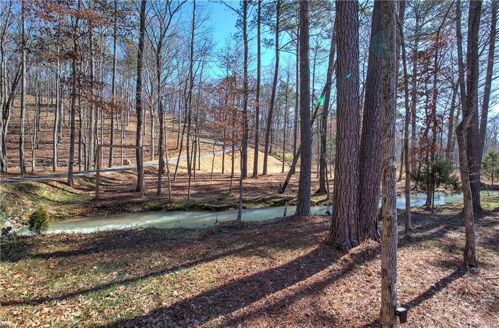 676 Flowery Branch Road Kingston, GA 30145 - Photo 65 of 96 a view of a backyard with trees