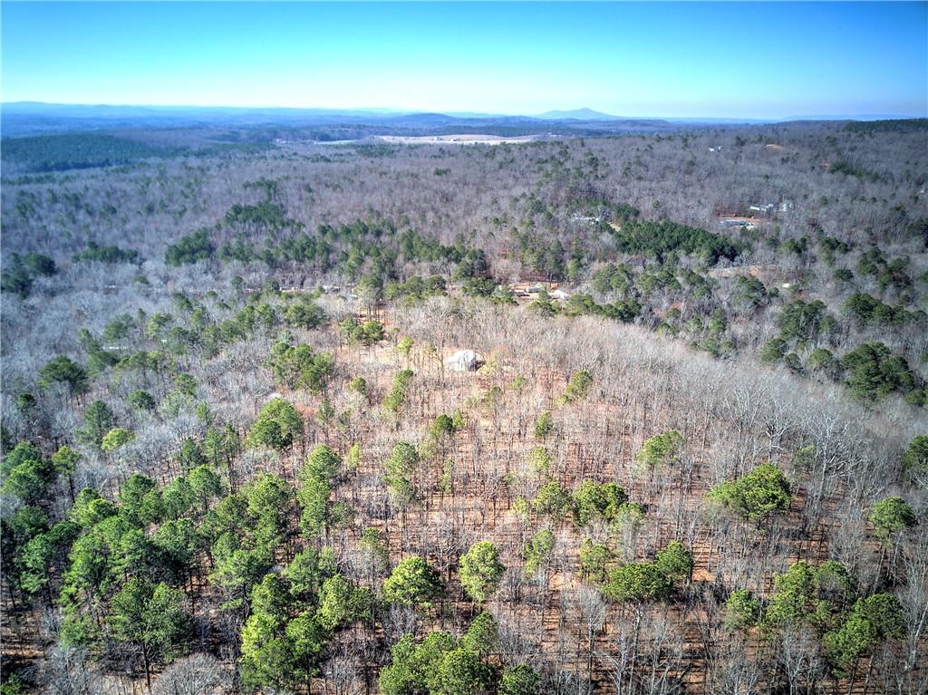 676 Flowery Branch Road Kingston, GA 30145 - Photo 85 of 96 an aerial view of house with yard