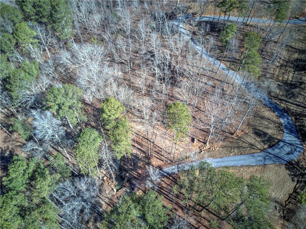 676 Flowery Branch Road Kingston, GA 30145 - Photo 94 of 96 a aerial view of a house with a yard