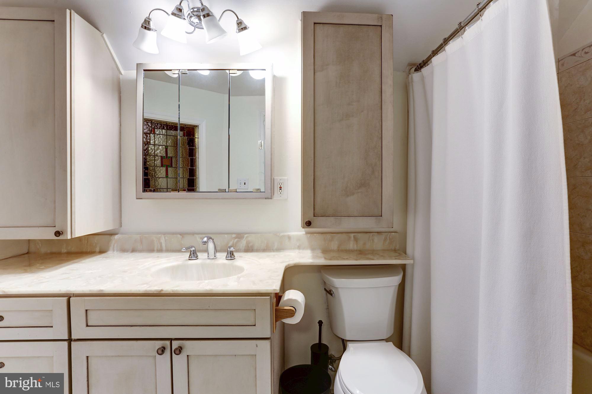 414 4th Street Northeast Washington, DC 20002 - Photo 29 of 44 English basement bath