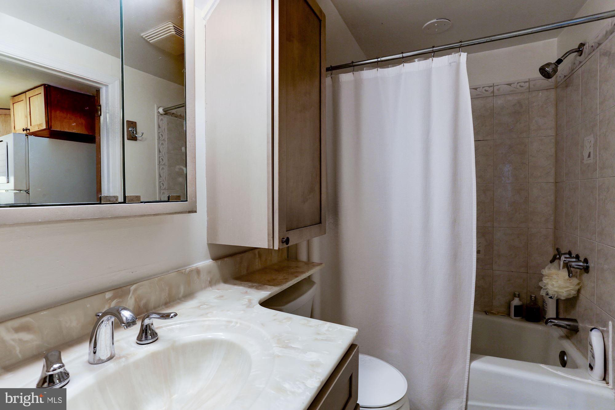 414 4th Street Northeast Washington, DC 20002 - Photo 30 of 44 English basement bath