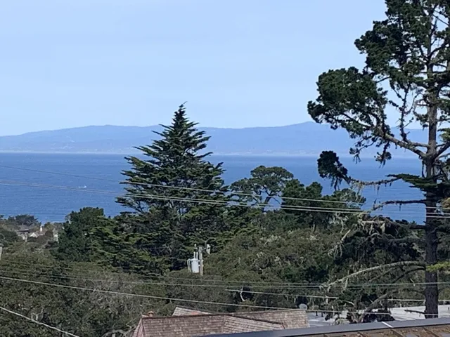 front view of a house with a tree