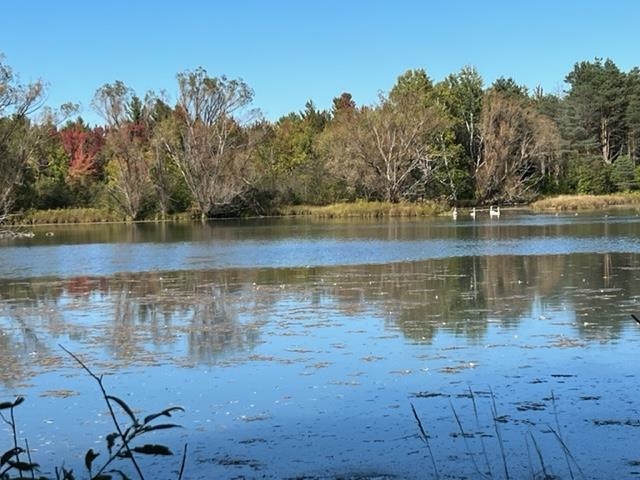 000 North 39th Road Manton, MI 49663 - Photo 1 of 12 Gallery Image 1