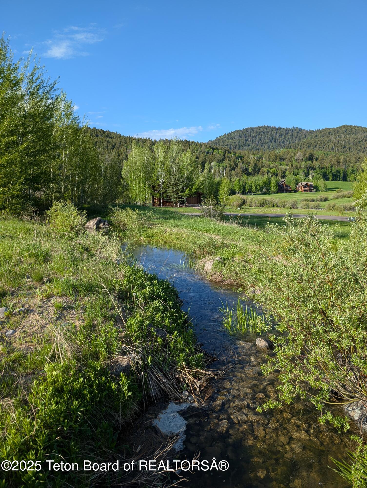 10 Riparian Drive Victor, ID 83455 - Photo 7 of 10 7 Water Feature South