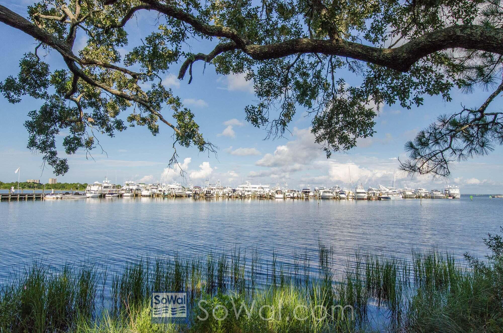 906 Harbour Point Lane, Unit 906 Miramar Beach, FL 32550 - Photo 32 of 36 a view of a lake with a mountain in the background