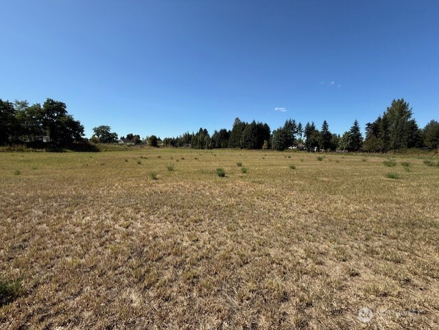 127 Anglers Lane Chehalis, WA 98532 - Photo 5 of 5
