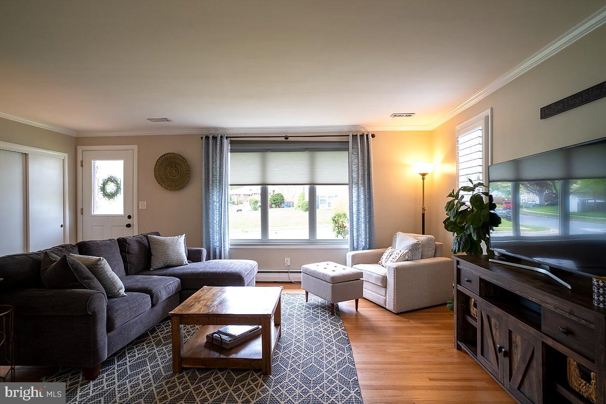 Sunlit lliving room