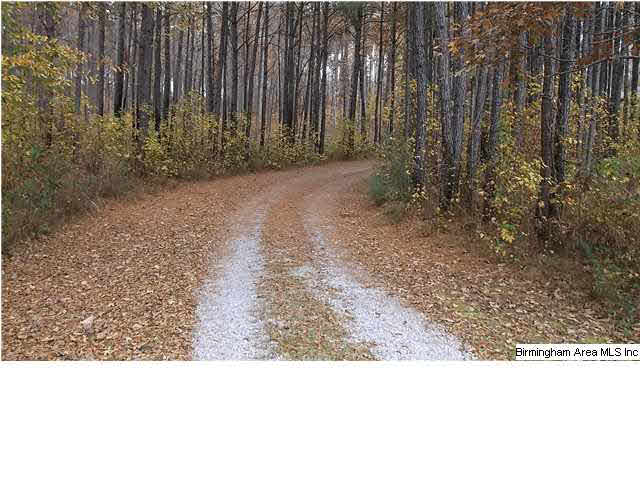 2001 East Marble Valley Road Sylacauga, AL 35151 - Photo 3 of 31