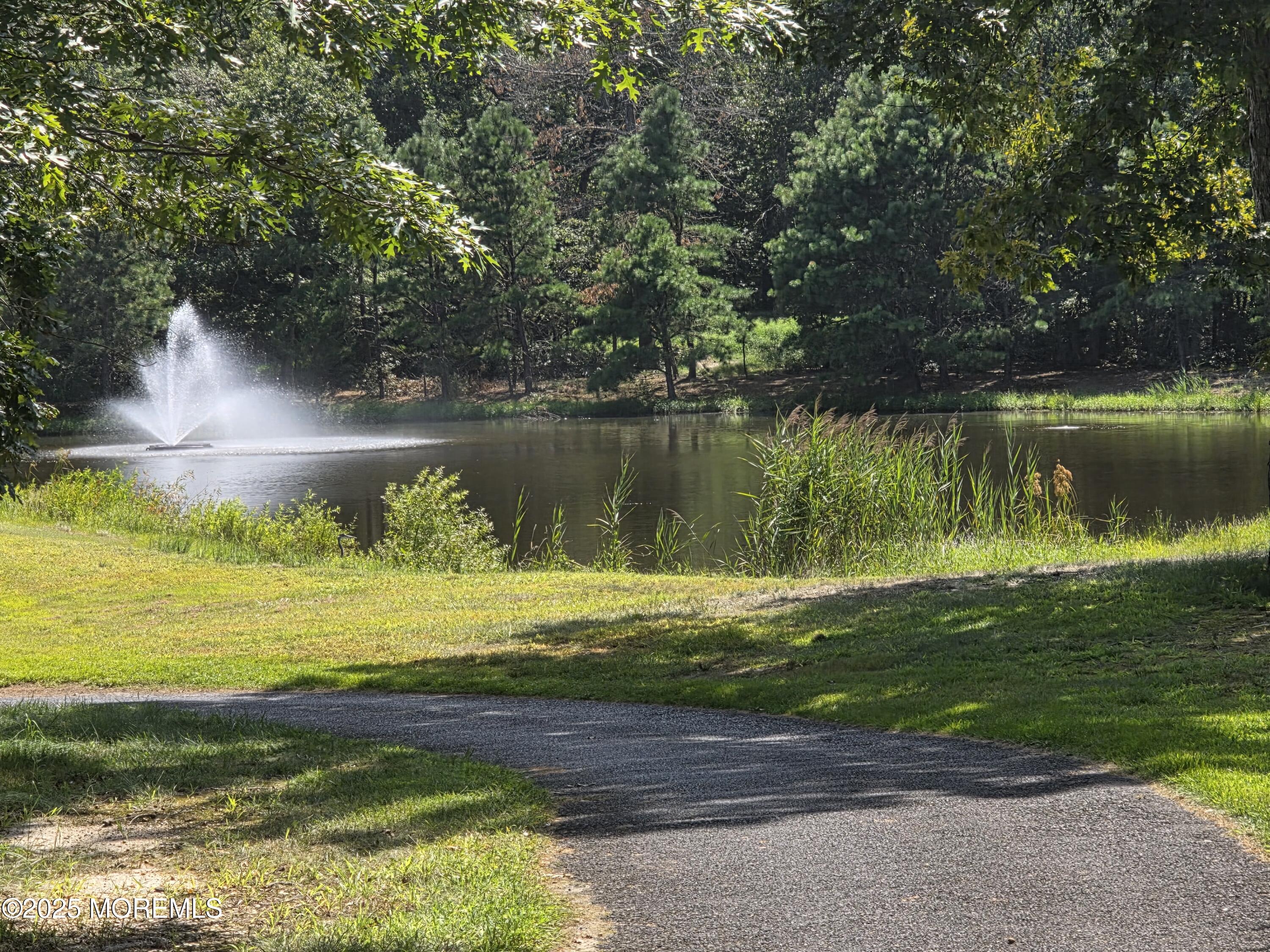58 Spyglass Drive Jackson, NJ 08527 - Photo 18 of 32 a view of a lake with a big yard