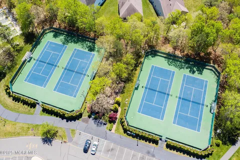 a view of a big yard with plants and large trees