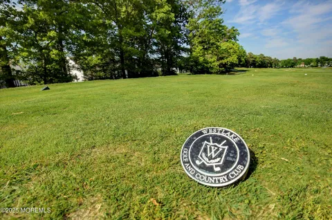 a view of a city with houses