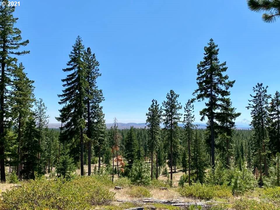 Mule Run Road, Unit LOT19 Goldendale, WA 98620 - Photo 1 of 11 Gallery Image 1
