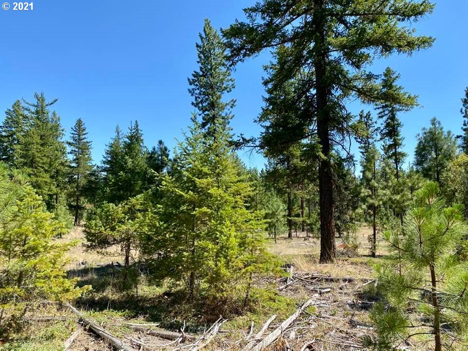 Mule Run Road, Unit LOT19 Goldendale, WA 98620 - Photo 3 of 11 Gallery Image 3