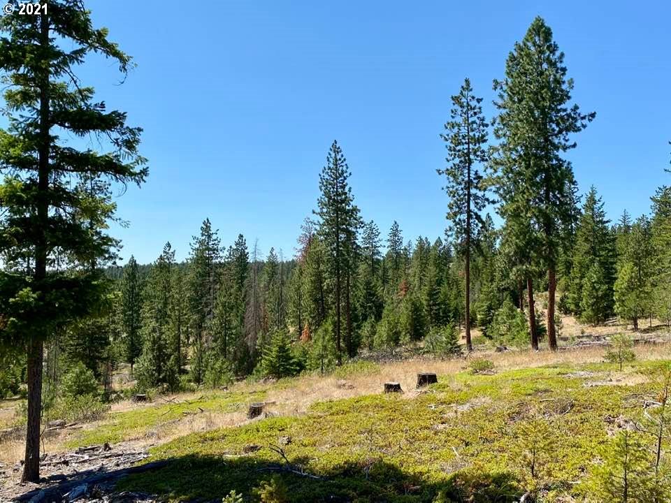Mule Run Road, Unit LOT19 Goldendale, WA 98620 - Photo 4 of 11 Gallery Image 4