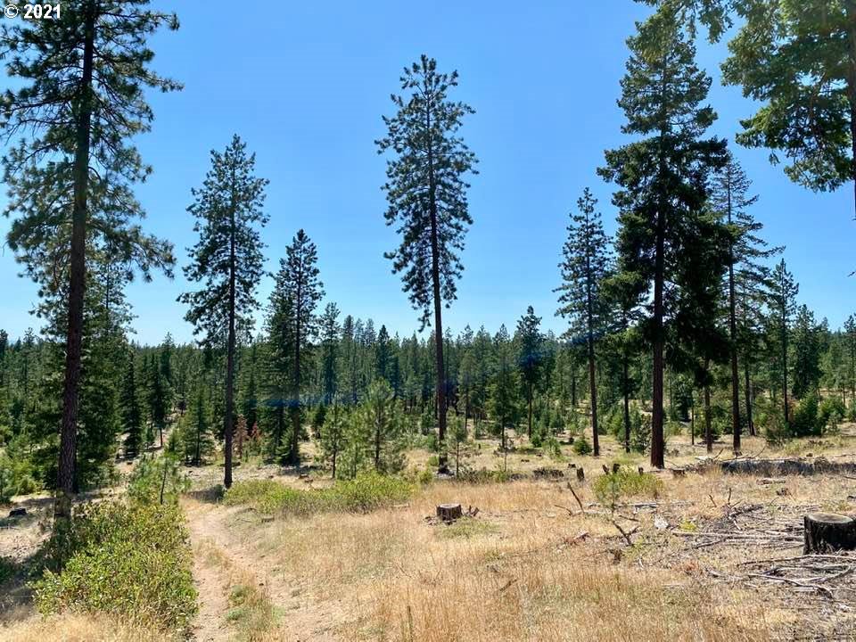 Mule Run Road, Unit LOT19 Goldendale, WA 98620 - Photo 5 of 11 Gallery Image 5