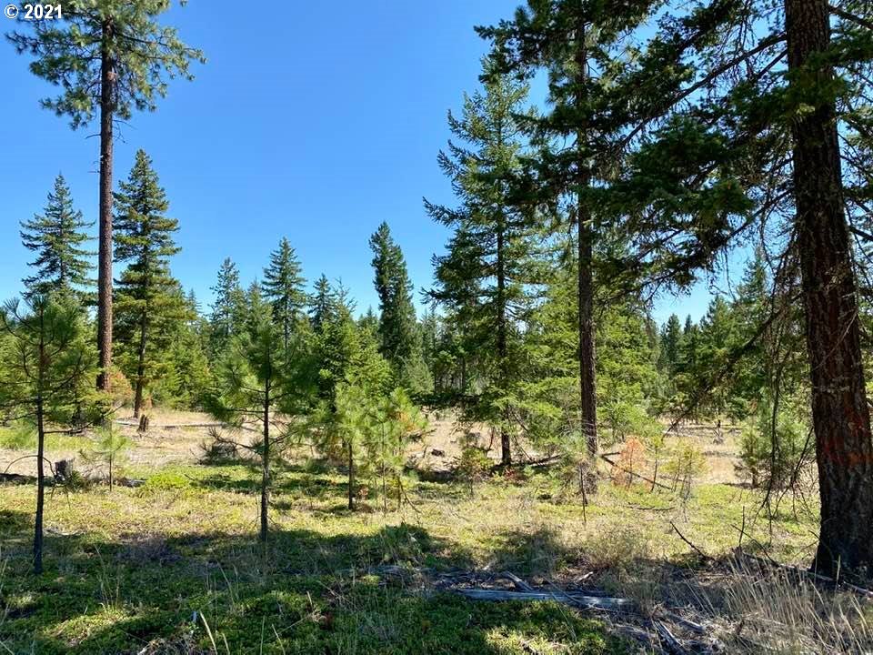 Mule Run Road, Unit LOT19 Goldendale, WA 98620 - Photo 6 of 11 Gallery Image 6