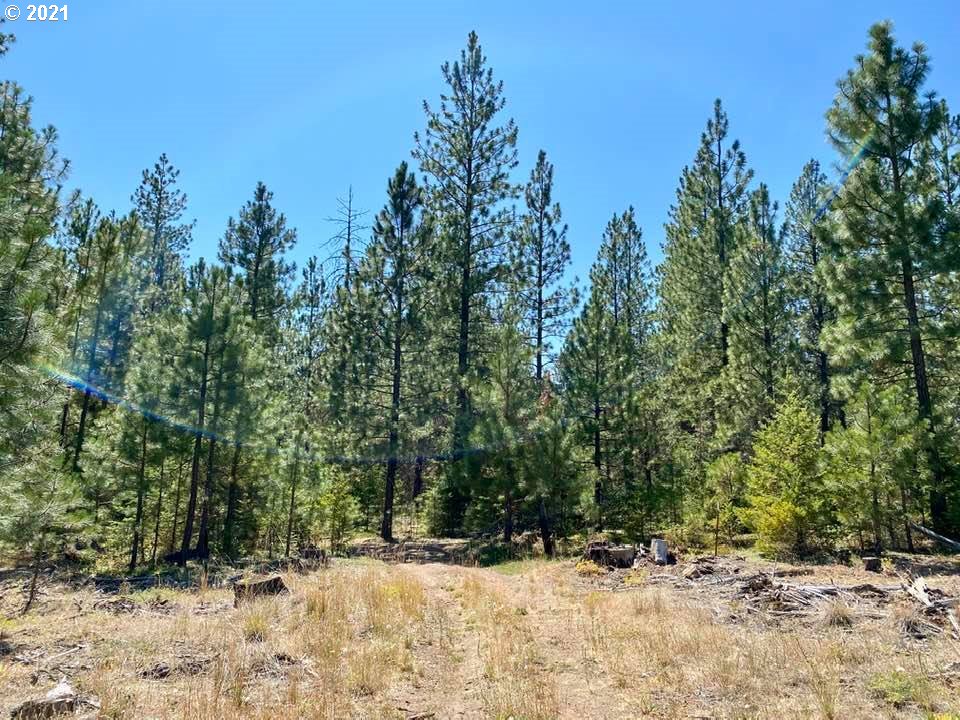 Mule Run Road, Unit LOT19 Goldendale, WA 98620 - Photo 7 of 11 Gallery Image 7