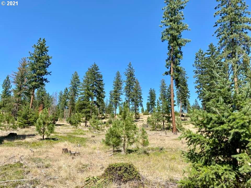 Mule Run Road, Unit LOT19 Goldendale, WA 98620 - Photo 8 of 11 Gallery Image 8