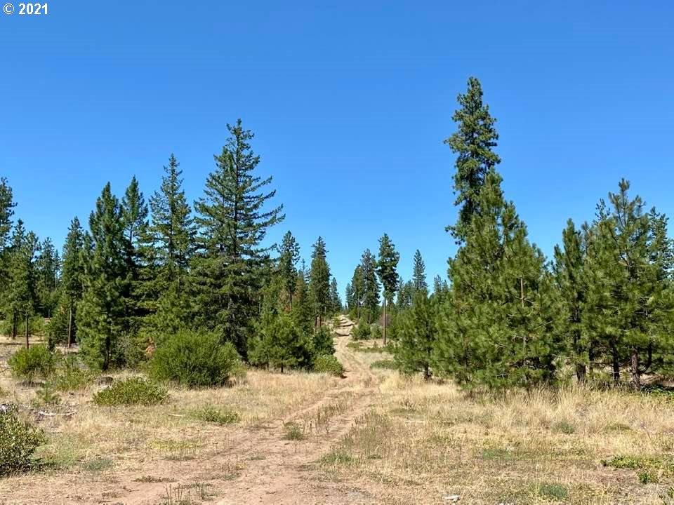 Mule Run Road, Unit LOT19 Goldendale, WA 98620 - Photo 9 of 11 Gallery Image 9