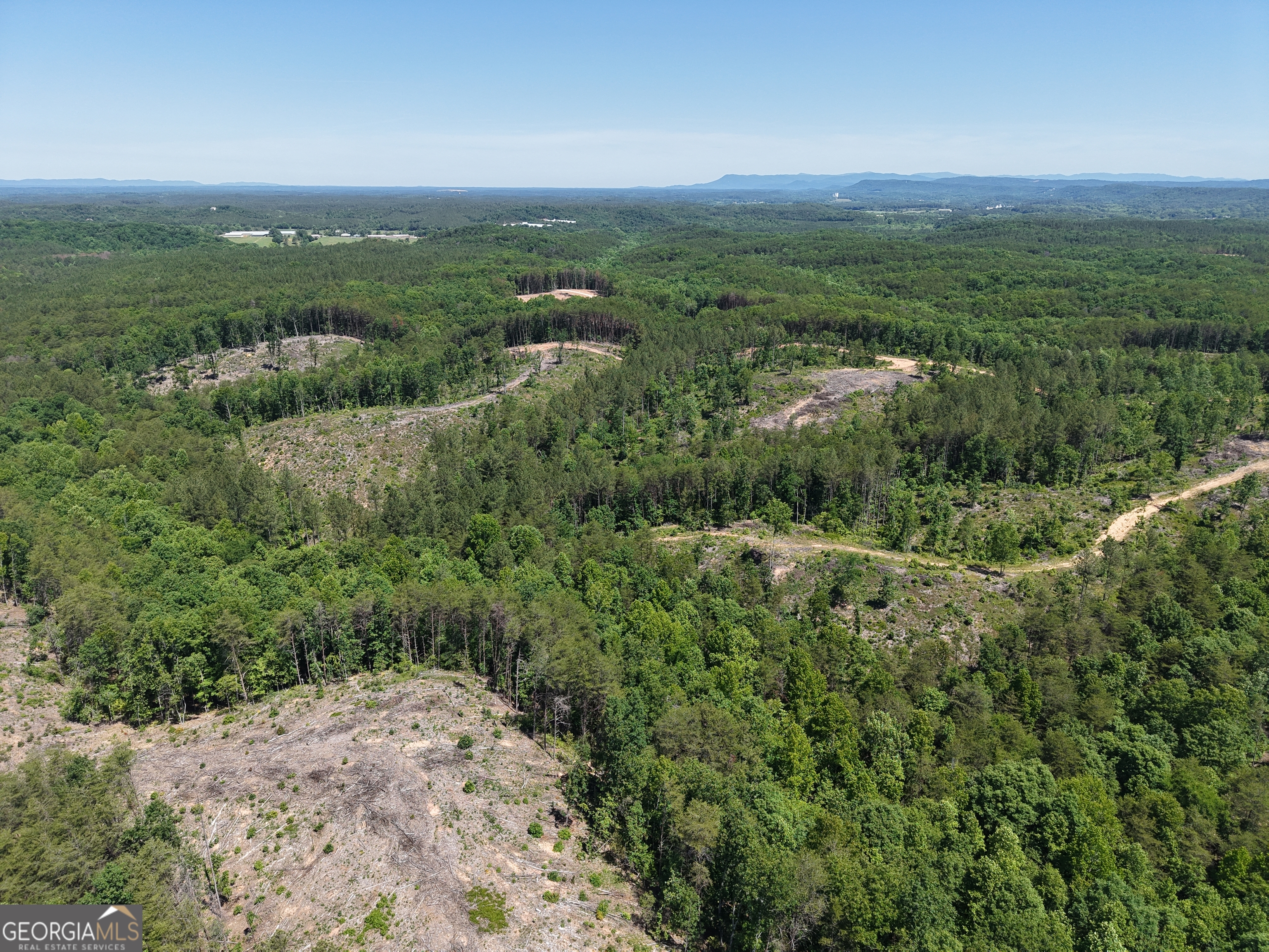0 Bishop Loop Road, Unit 7400/9555 Fairmount, GA 30139 - Photo 26 of 42 an aerial view of forest