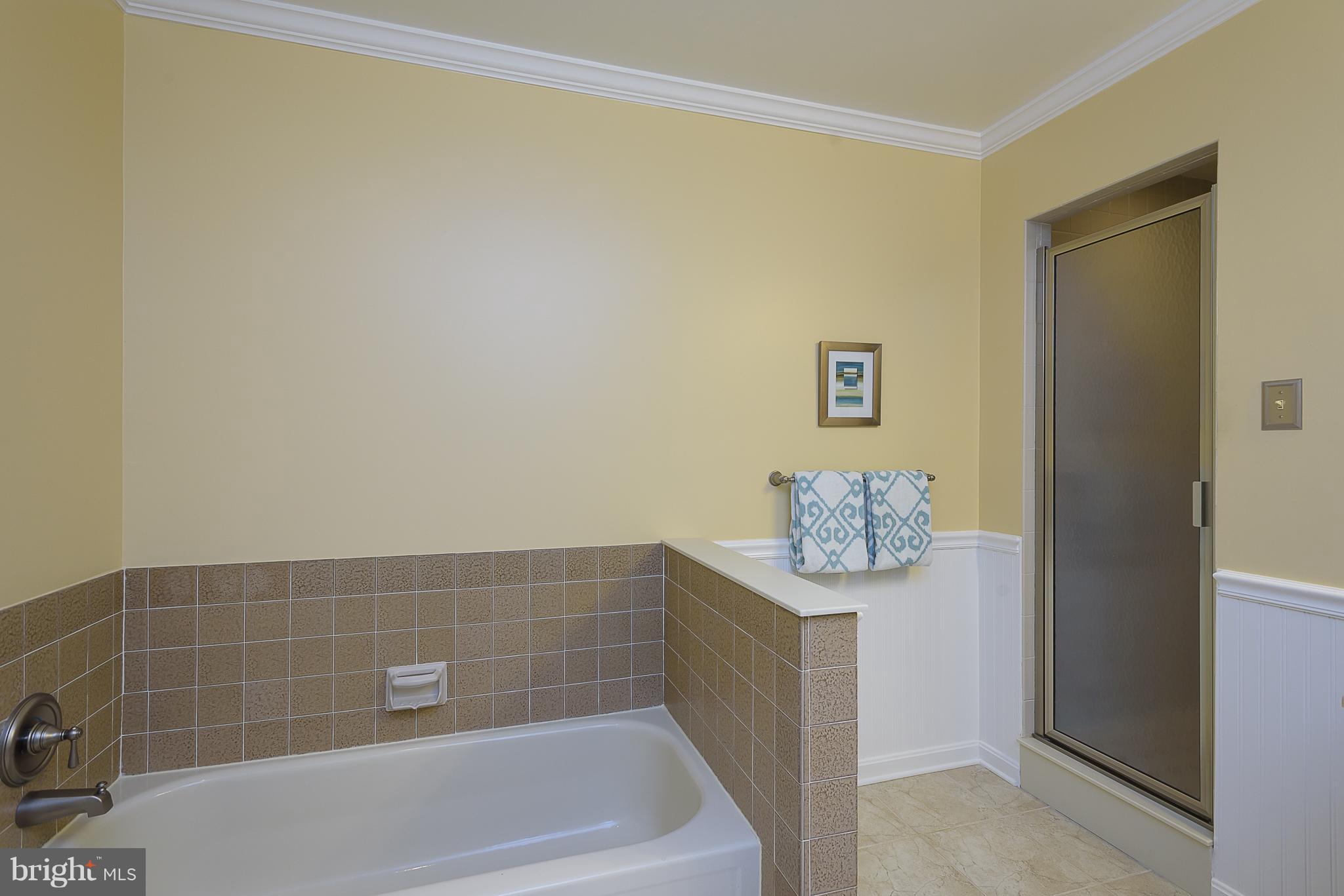 12408 Benson Branch Road Ellicott City, MD 21042 - Photo 19 of 30 Bath (Master)