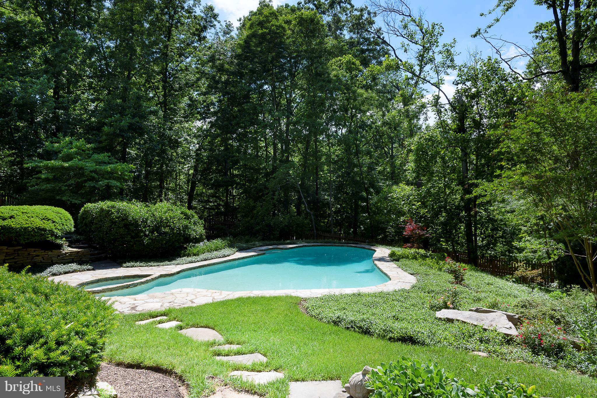 12408 Benson Branch Road Ellicott City, MD 21042 - Photo 26 of 30 Pool