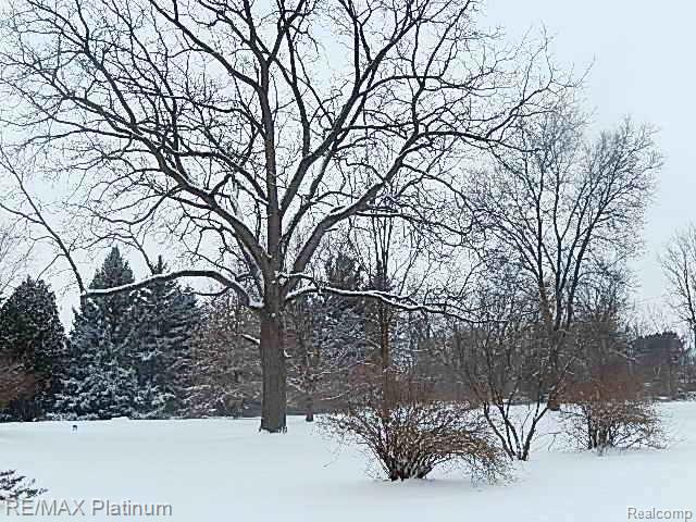 6046 Cedar Lake Road Pinckney, MI 48169 - Photo 12 of 36 12.jpg