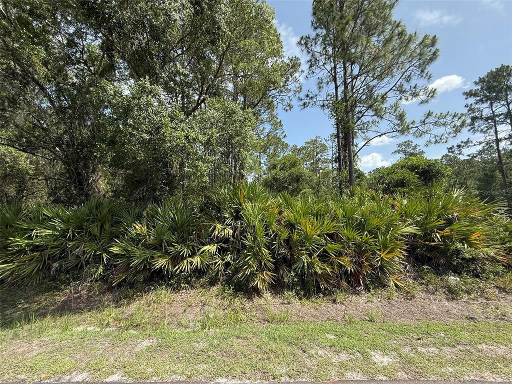 174 Millican Road Palatka, FL 32177 - Photo 4 of 9 a view of a yard
