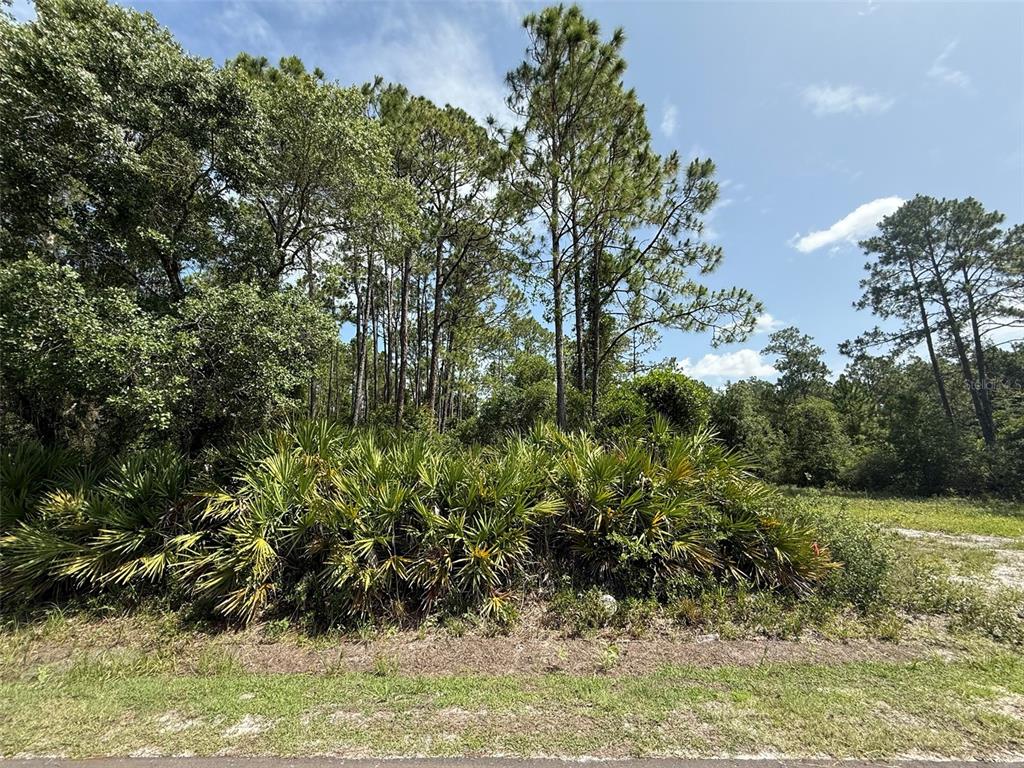 174 Millican Road Palatka, FL 32177 - Photo 5 of 9 a view of a garden