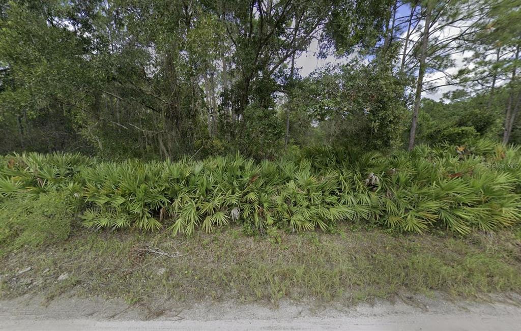 174 Millican Road Palatka, FL 32177 - Photo 7 of 9 a view of a forest with large trees