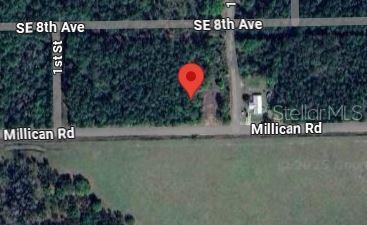 174 Millican Road Palatka, FL 32177 - Photo 9 of 9 a view of a tree front of a park