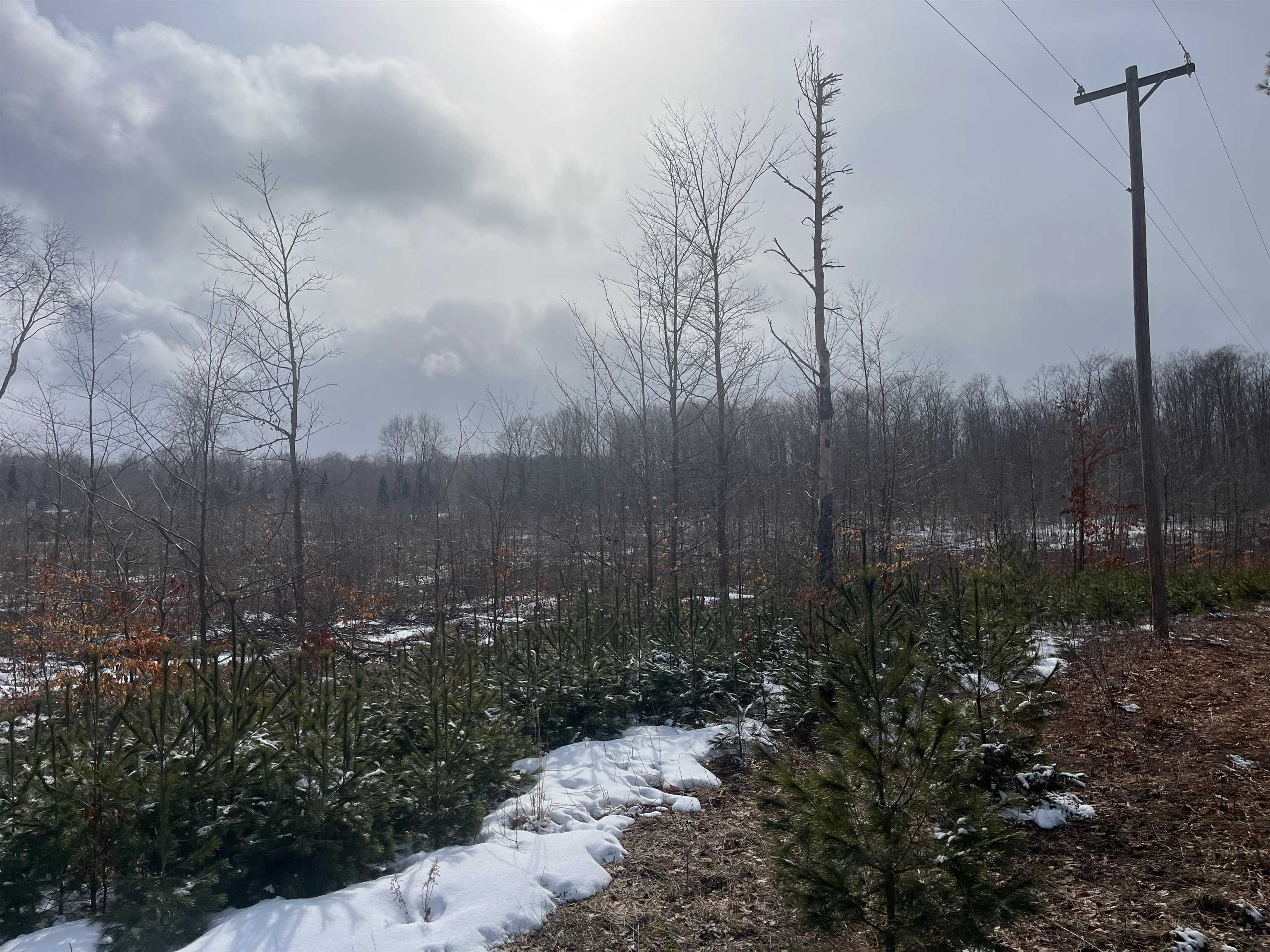 4 King Road, Unit LOT: 4 Benzonia, MI 49616 - Photo 10 of 12